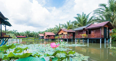 Top 5 Farms to Bring Your Kids to when in Johor!