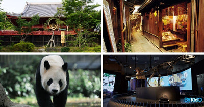 7 Things to do with Your Little Ones at Ueno Park