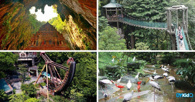 7 Family-friendly Outdoor Activities to do in Kuala Lumpur