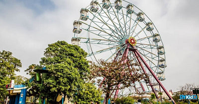 6 Places in Taichung to Visit with Your Family