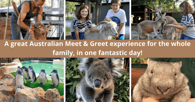 Six Things To Do At Caversham Wildlife Park in Perth