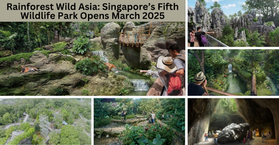 Rainforest Wild Asia To Open on 12 March 2025 - Singapore’s Fifth Wildlife Park