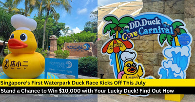Join Singapore’s First Duck Race at Adventure Cove Waterpark!