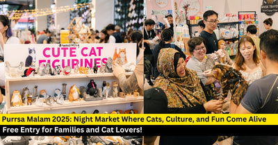 Purrsa Malam 2025: A Night Market Celebrating Cats and Culture