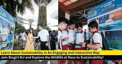 Discover Sustainability Fun at Gardens by the Bay’s Race to Sustainability!