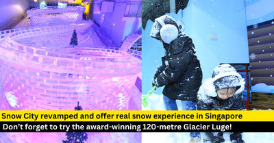 Experience Winter in Singapore at The Revamped Snow City