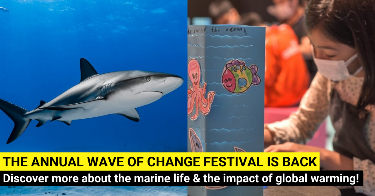 A Festival About The Big Blue - Waves Of Change Festival 2022