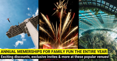 13 Best Annual Family Memberships You Should Own in 2025