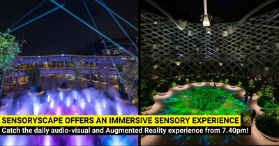 Sensoryscape - A NEW Day-to-Night Immersive Sensory Experience on Sentosa