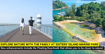 Get Closer to Nature at Sisters’ Islands Marine Park - Floating Boardwalk, Coastal Forest Trail and More