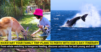 6-Days Perth Itinerary for Families - Whale Watching, Busselton Jetty, Caversham Park, Fremantle and More