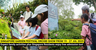 Singapore Garden Festival Orchid Show - Free Entry to National Orchid Garden