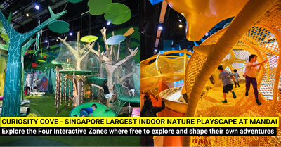 Curiosity Cove - Singapore's Largest Indoor Nature-Inspired Playscape
