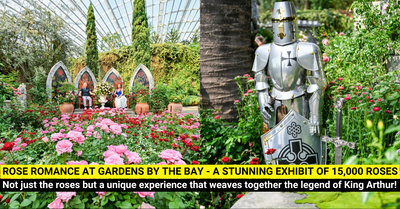 Rose Romance 2025 at Gardens by the Bay!