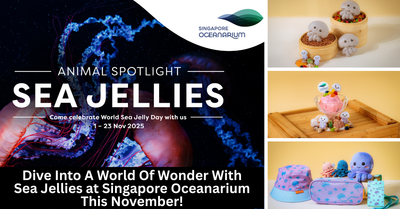 Singapore Oceanarium Celebrates World Sea Jelly Day With Immersive Experiences And Hands-On Activities