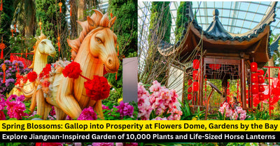 Celebrate the Year of the Horse at Gardens by the Bay’s Spring Blossoms Floral Display