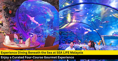 SEA LIFE Underwater Dining Returns to LEGOLAND Malaysia with New Gourmet Menu in 202