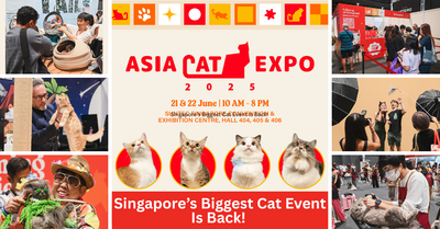 Asia Cat Expo 2025: Singapore’s Largest Cat-Exclusive Event Returns Bigger Than Ever!