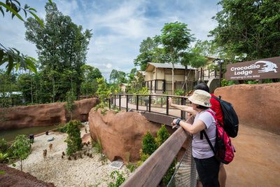 Crocodile Lodge at Rainforest Wild Adventure East - Glamping in the Wild!
