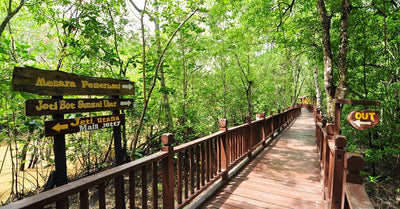 Reasons Kukup Island Should Be Your Next Family Getaway Destination