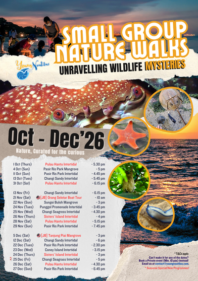 Young Nautilus 2-Hr Nature Walk Programmes from $56