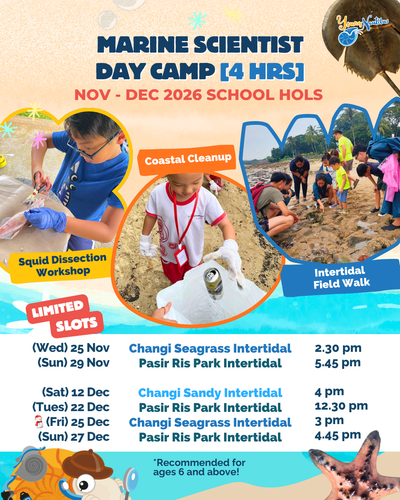 Young Nautilus 4-Hours Marine Scientist Day Camp