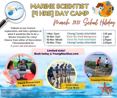 Young Nautilus 4-Hours Marine Scientist Day Camp
