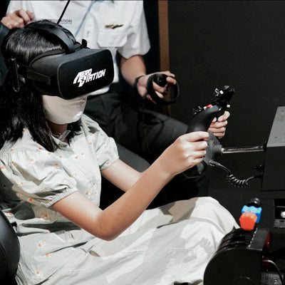Full Flight Experience With 3 Simulators @ just $250 For 2 Pax