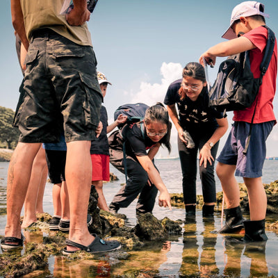 Young Nautilus: Private Nature Walk Programmes for 15 Pax At $825 (U.P. $870)