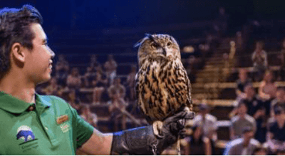 Night Safari Tickets - Compare Best Prices Here!