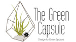 The Green Capsule: Open Succulent Terrarium DIY Kit @ Just $50 (Delivery Fee Inclusive) - BYKidO