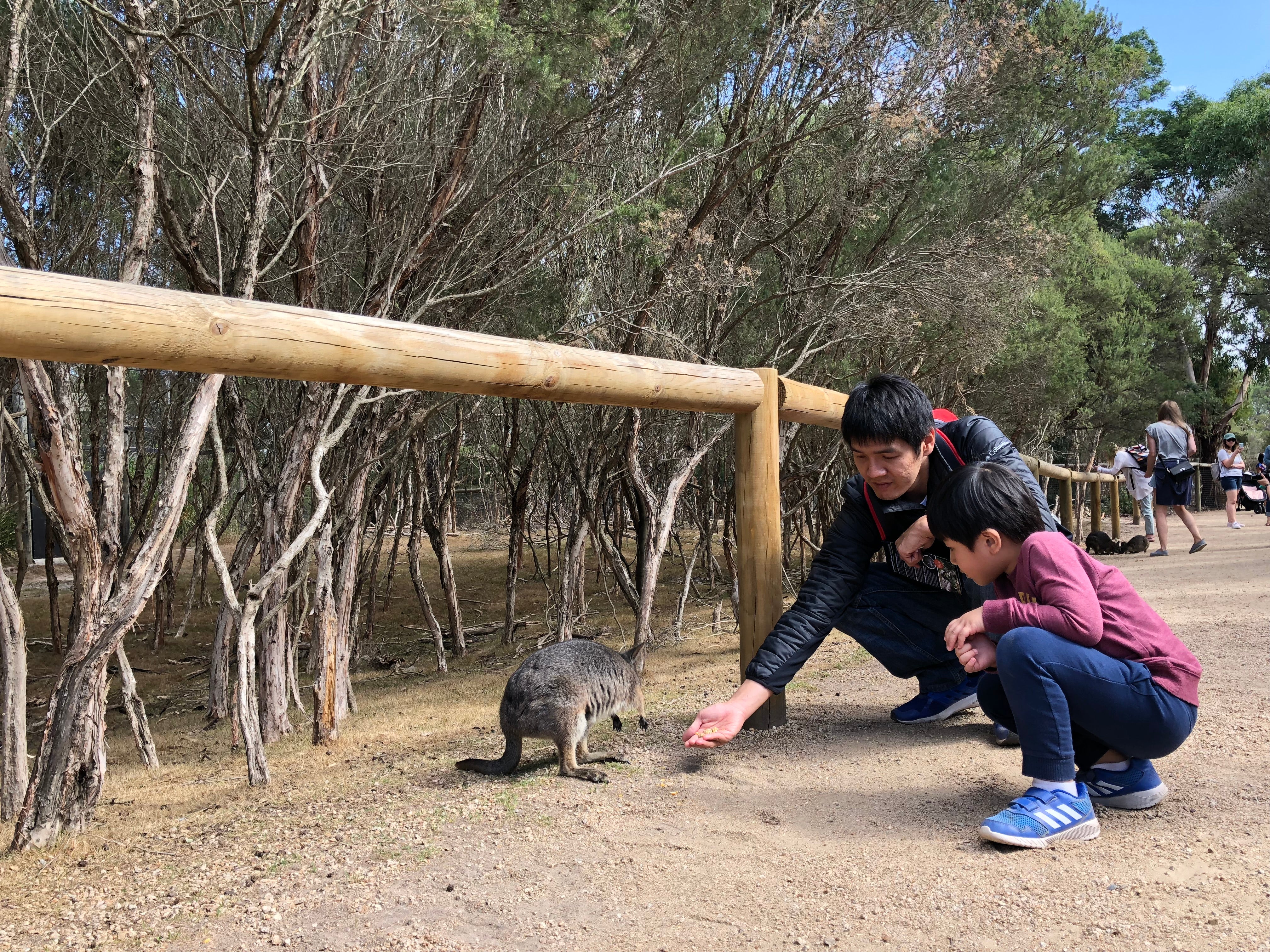 BYKidO Moments: Mummy XY Goes to Melbourne with Her Little Ones! - BYKidO