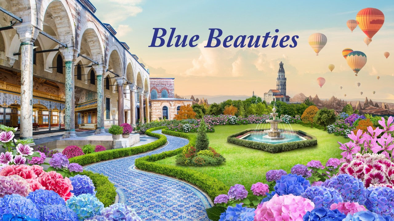 Blue Beauties - A Floral Journey Through the Ottoman Empire at Flower Dome