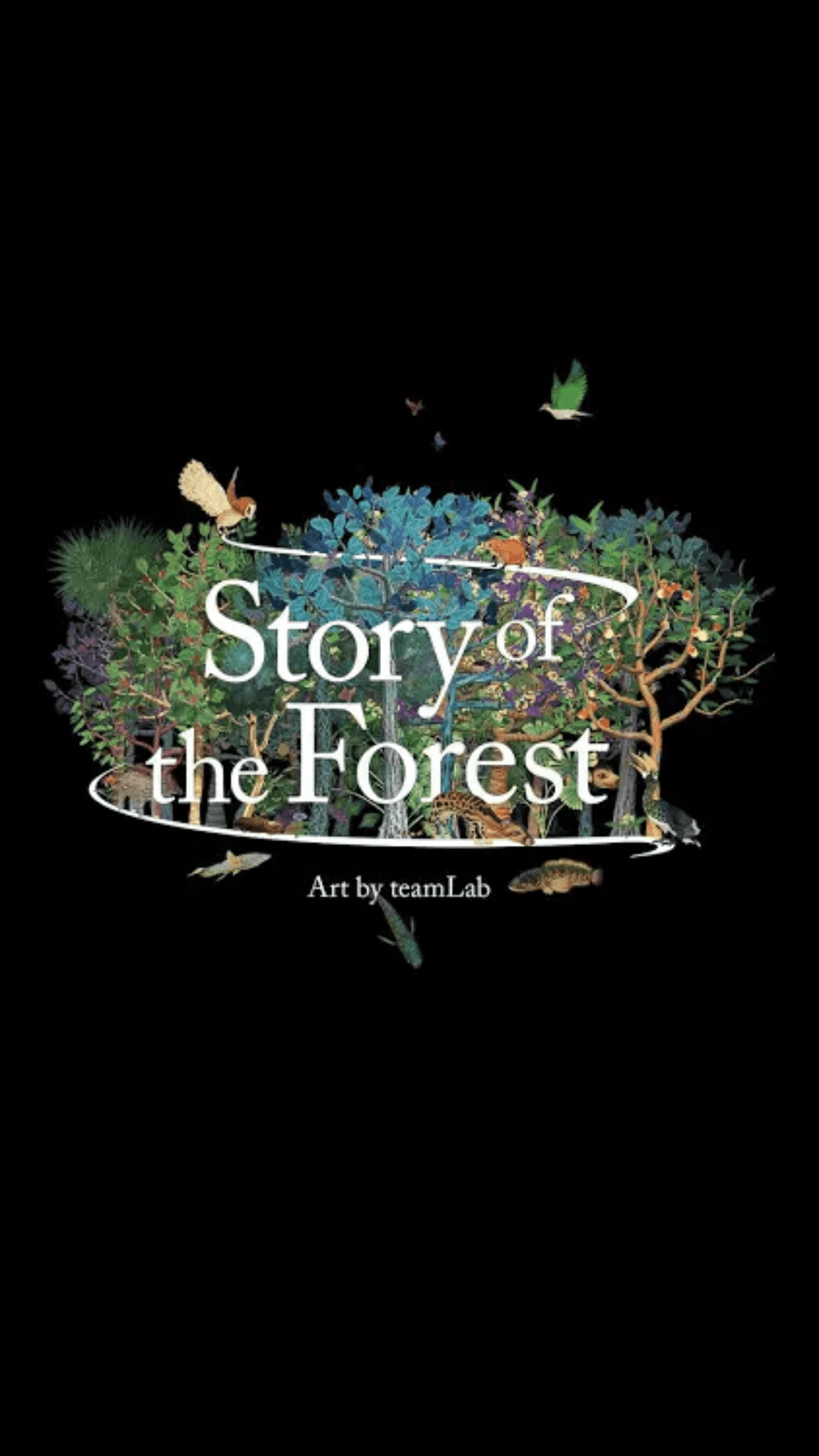 Places to go this Weekend: Story of the Forest