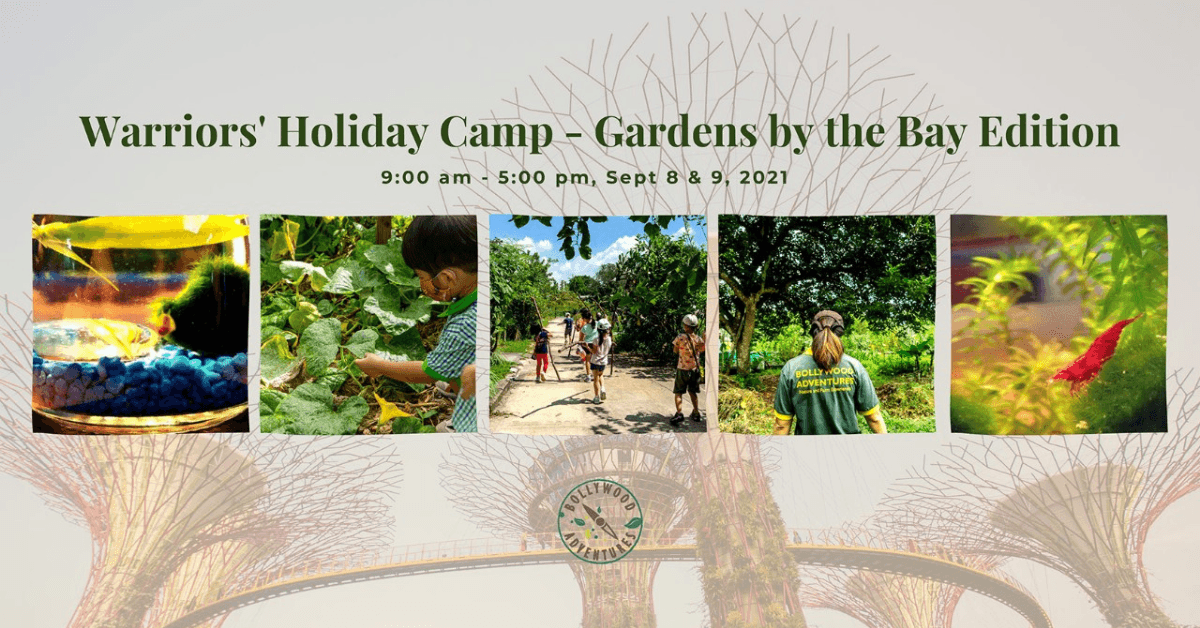Kids Holiday Camp At Gardens by the Bay | Warrior's Holiday Camp Sep 2021 - BYKidO