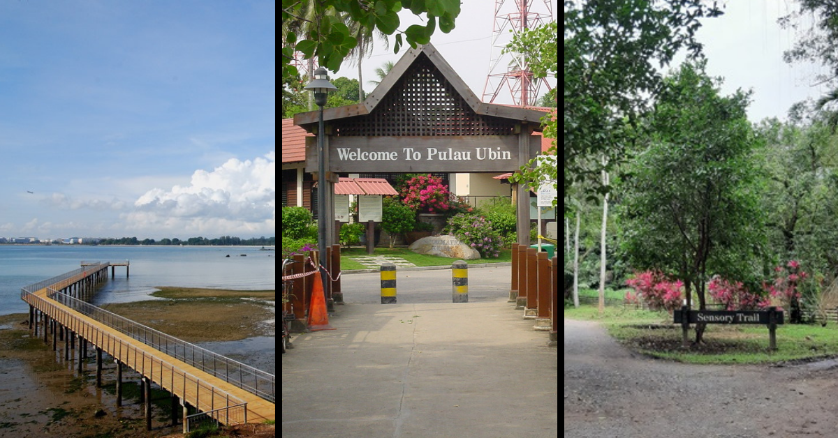 Family's Guide To Pulau Ubin: What To Do, Getting There & More!