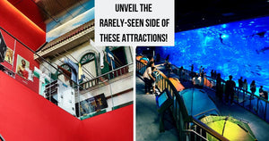 A Look Beyond the Veil: Immersive Tours that Bring You Behind-the-Scenes of Local Attractions