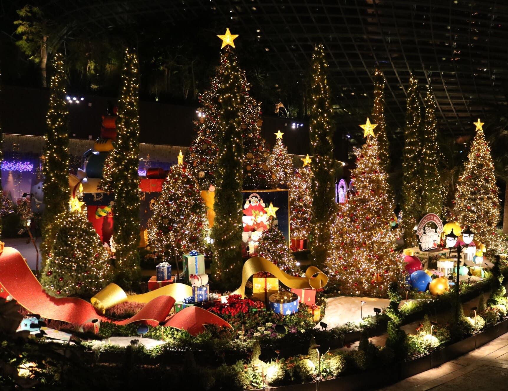 Things to do: Be Mesmerized by “Poinsettia Wishes Featuring Disney Tsum Tsum” Floral Display at Gardens by the Bay! - BYKidO