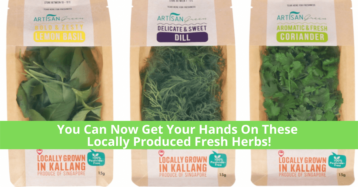 Artisan Green Launches Its Very First Range Of Fresh Herbs! - BYKidO