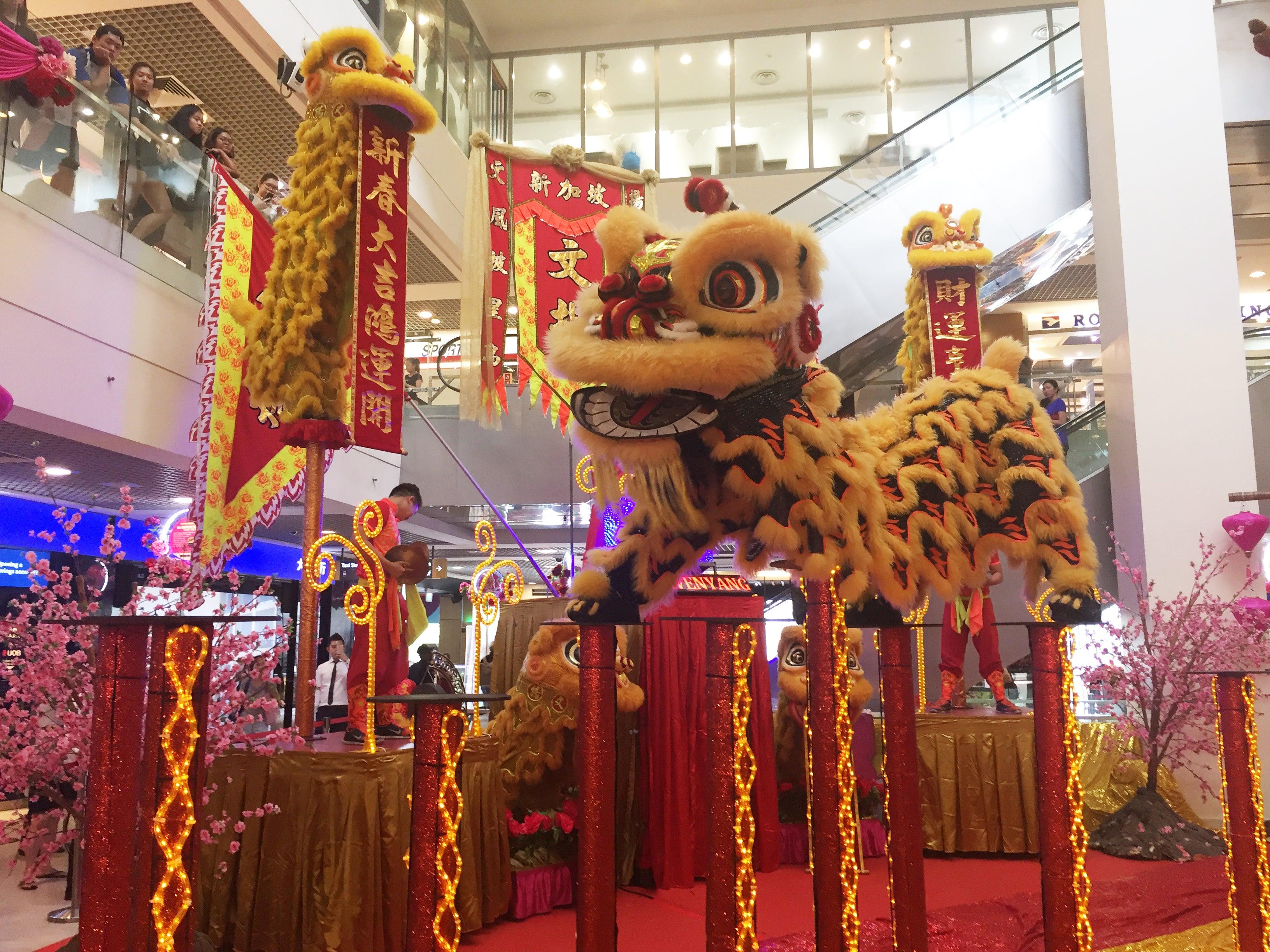 Things to do this Weekend: Catch Lions Leaping on High Poles with Your Little Ones! - BYKidO