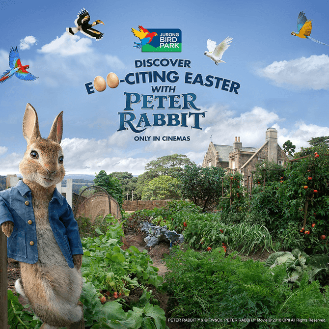Things to do this Weekend: Join Peter Rabbit's Easter Celebration with Your Little Ones @ Jurong Bird Park! - BYKidO