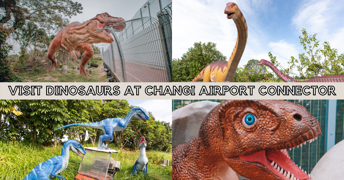 Changi Jurassic Mile Opens At The Changi Airport Connector | Connecting Changi Airport to East Coast Park and the Park Connector Network (PCN) - BYKidO