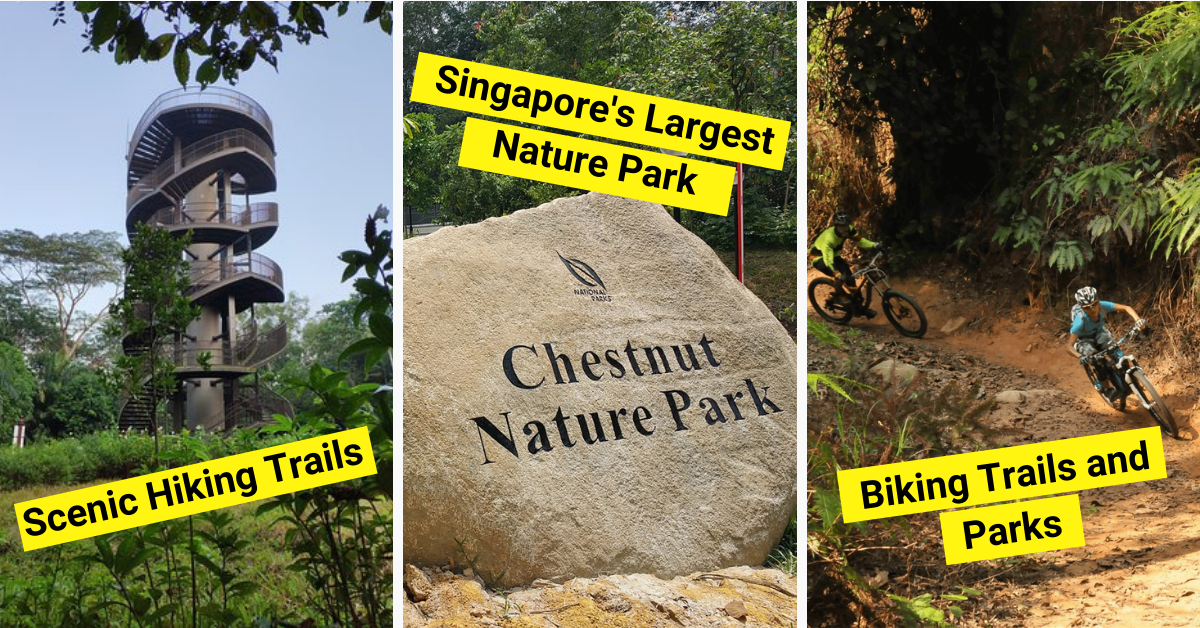 Chestnut Nature Park - What To Expect and How To Get There!