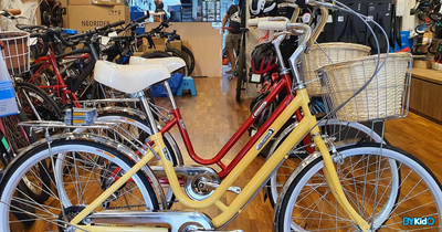 5 Best Bicycle Rentals in Singapore