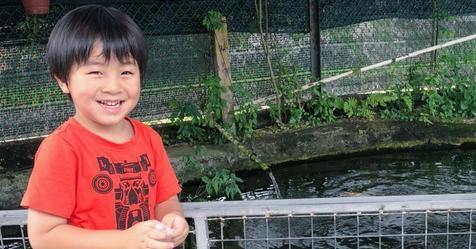 BYKidO Moments: Mummy XY's Little Day Out with Her Little Ones at the Farmart! - BYKidO