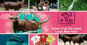 Celebrate The "NIU" Year At Singapore’s Wildlife Parks This February!