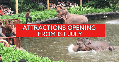 Attractions to Reopen in Singapore on 1 July | Capacity Capped at 25%