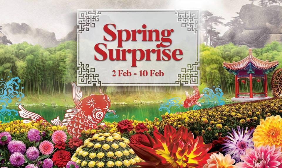 Usher in a Prosperous New Year with Spring Surprise 2019