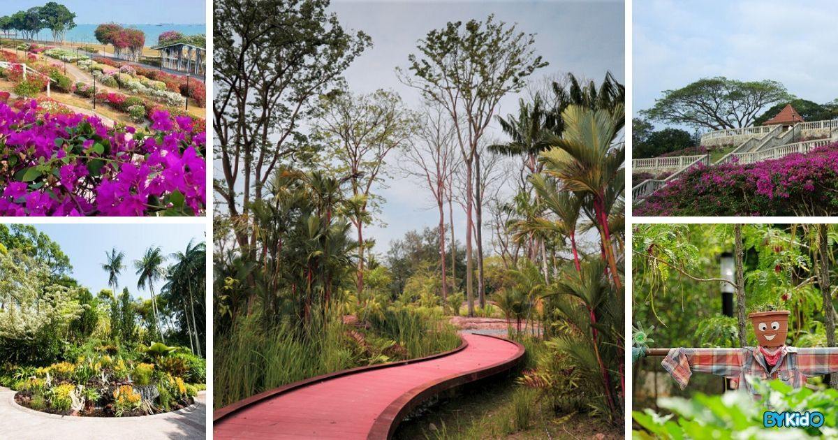 7 Pretty Places in Singapore for a Hanami Party with Your Family - BYKidO