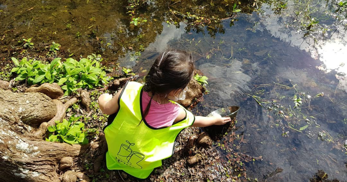 7 Nature Schools in Singapore for Outdoor Learning